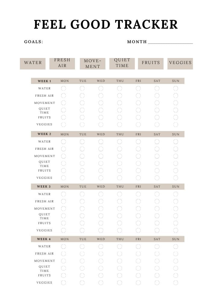 Law of Attraction Planner
