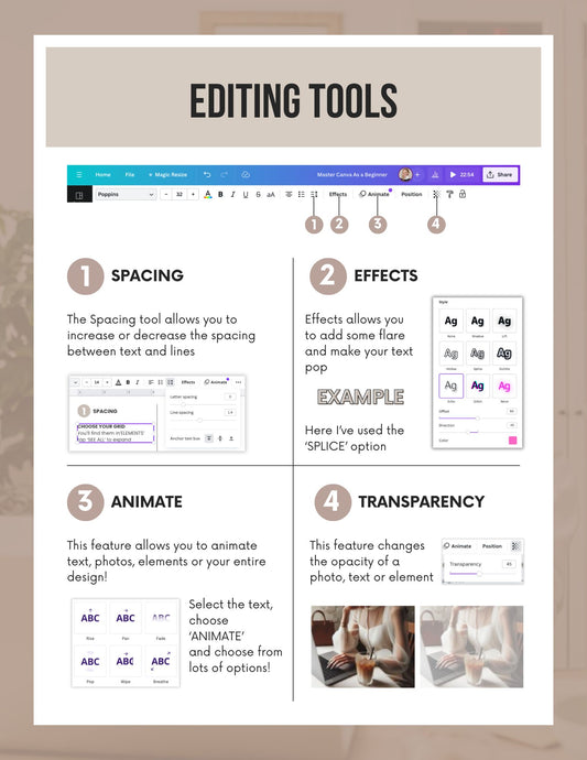 Canva Basics Guide MRR